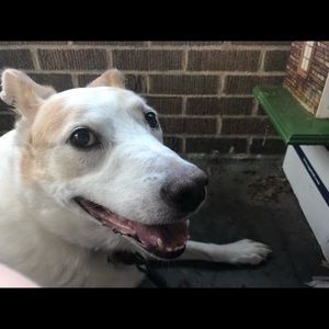 Meet your Posher, Meri kay